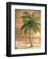 Island Palm I-Ron Jenkins-Framed Art Print