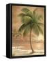 Island Palm I-Ron Jenkins-Framed Stretched Canvas