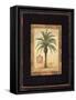 Island Palm-Chad Barrett-Framed Stretched Canvas