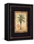 Island Palm-Chad Barrett-Framed Stretched Canvas