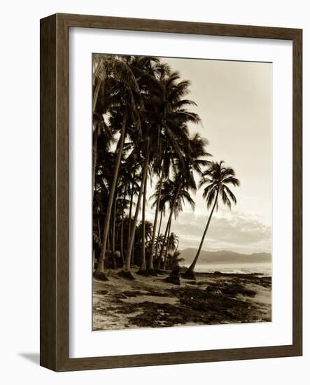 Island Palms I-null-Framed Photographic Print