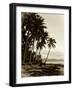 Island Palms I-null-Framed Photographic Print