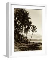 Island Palms I-null-Framed Photographic Print