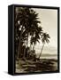 Island Palms I-null-Framed Stretched Canvas