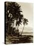 Island Palms I-null-Stretched Canvas
