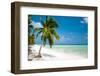 Island Paradise - Palm Trees Hanging over a Sandy White Beach with Stunning Turquoise Waters and Wh-Aleksandar Todorovic-Framed Photographic Print