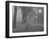 Island Park 3-Gordon Semmens-Framed Photographic Print