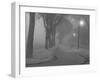 Island Park 3-Gordon Semmens-Framed Photographic Print