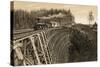 Island Railway Crossing Arbutus Canyon, British Columbia, 1800s-null-Stretched Canvas