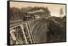 Island Railway Crossing Arbutus Canyon, British Columbia, 1800s-null-Framed Stretched Canvas