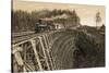Island Railway Crossing Arbutus Canyon, British Columbia, 1800s-null-Stretched Canvas