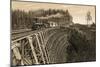 Island Railway Crossing Arbutus Canyon, British Columbia, 1800s-null-Mounted Giclee Print