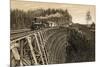 Island Railway Crossing Arbutus Canyon, British Columbia, 1800s-null-Mounted Giclee Print