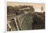 Island Railway Crossing Arbutus Canyon, British Columbia, 1800s-null-Framed Giclee Print