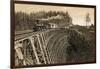 Island Railway Crossing Arbutus Canyon, British Columbia, 1800s-null-Framed Giclee Print