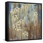 Island Shower II-Carol Black-Framed Stretched Canvas