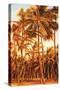 Island Sunset I-Rodolfo Jimenez-Stretched Canvas