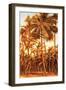 Island Sunset I-Rodolfo Jimenez-Framed Art Print