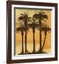 Island Sunset-Karl Rattner-Framed Giclee Print