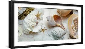 Island Tide Pool No. 3-Alan Blaustein-Framed Photographic Print