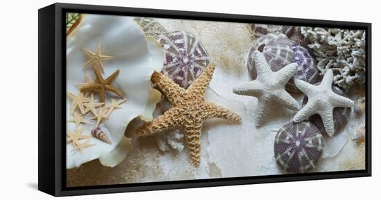 Island Tide Pool No. 4-Alan Blaustein-Framed Stretched Canvas