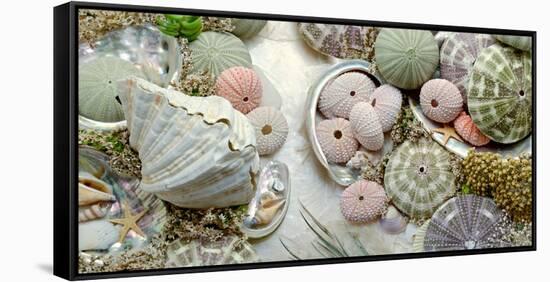 Island Tide Pool No. 7-Alan Blaustein-Framed Stretched Canvas