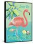 Island Time Flamingo II-Beth Grove-Framed Stretched Canvas