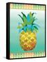 Island Time Pineapples VI-Beth Grove-Framed Stretched Canvas