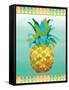 Island Time Pineapples VI-Beth Grove-Framed Stretched Canvas