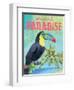 Island Time Toucan II-Beth Grove-Framed Art Print