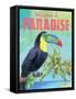 Island Time Toucan II-Beth Grove-Framed Stretched Canvas