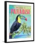 Island Time Toucan II-Beth Grove-Framed Art Print