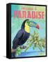 Island Time Toucan II-Beth Grove-Framed Stretched Canvas