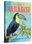 Island Time Toucan II-Beth Grove-Stretched Canvas