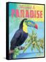 Island Time Tucan II Bright-Beth Grove-Framed Stretched Canvas