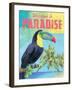 Island Time Tucan II Bright-Beth Grove-Framed Premium Giclee Print