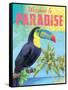 Island Time Tucan II Bright-Beth Grove-Framed Stretched Canvas