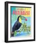 Island Time Tucan II Bright-Beth Grove-Framed Art Print