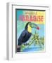 Island Time Tucan II Bright-Beth Grove-Framed Art Print