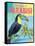 Island Time Tucan II Bright-Beth Grove-Framed Stretched Canvas