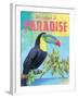 Island Time Tucan II Bright-Beth Grove-Framed Art Print