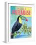 Island Time Tucan II Bright-Beth Grove-Framed Art Print