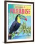 Island Time Tucan II Bright-Beth Grove-Framed Art Print