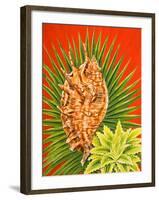 Island Treasures I-Linda Baliko-Framed Art Print