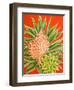 Island Treasures II-Linda Baliko-Framed Art Print