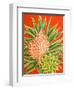 Island Treasures II-Linda Baliko-Framed Art Print