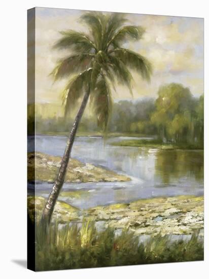 Island Tropics l-Hannah Paulsen-Stretched Canvas