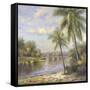 Island Tropics ll-Hannah Paulsen-Framed Stretched Canvas