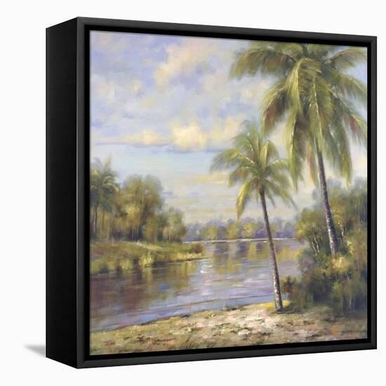 Island Tropics ll-Hannah Paulsen-Framed Stretched Canvas