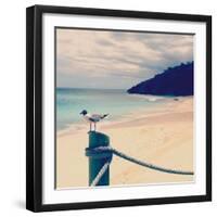 Island Vacation III-Susan Bryant-Framed Photographic Print